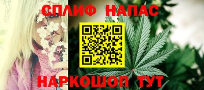 мдпв Ипатово