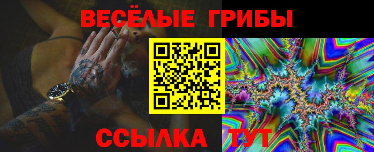 Дальнереченск  купить  цена  Вход с VPN  Псилоцибиновые грибы прущие грибы 